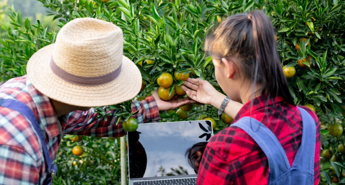 Fruit Picking Jobs in Greece for Indians