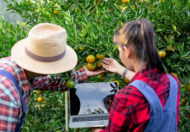 Fruit picking jobs in Greece for Indians