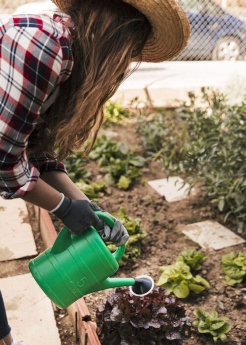 gardener-watering-plants